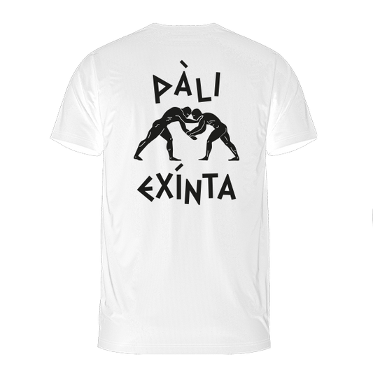 Pali Exinta